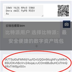 比特派用户 选择比特派：最安全便捷的数字资产钱包