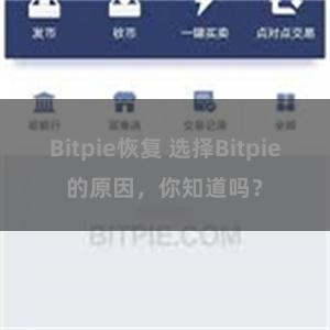 Bitpie恢复 选择Bitpie的原因，你知道吗？