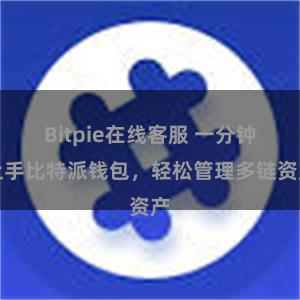 Bitpie在线客服 一分钟上手比特派钱包，轻松管理多链资产