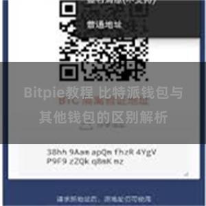 Bitpie教程 比特派钱包与其他钱包的区别解析