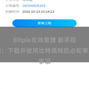 Bitpie在线管理 新手指南：下载并使用比特派钱包必知事项