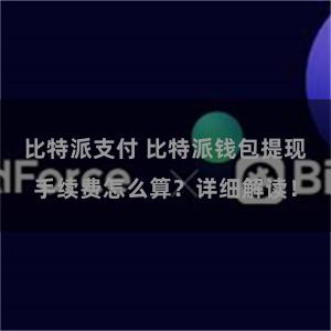 比特派支付 比特派钱包提现手续费怎么算？详细解读！