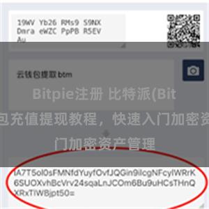 Bitpie注册 比特派(Bitpie)钱包充值提现教程，快速入门加密资产管理