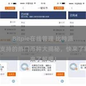 Bitpie在线管理 比特派钱包支持的热门币种大揭秘，快来了解吧！