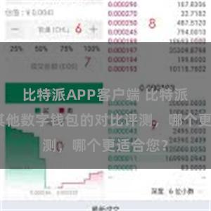 比特派APP客户端 比特派钱包和其他数字钱包的对比评测，哪个更适合您？