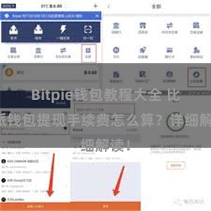 Bitpie钱包教程大全 比特派钱包提现手续费怎么算？详细解读！