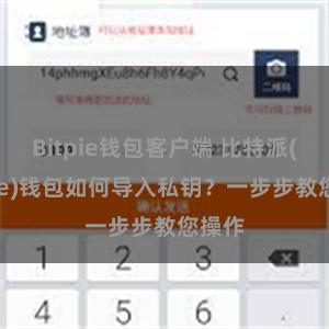 Bitpie钱包客户端 比特派(Bitpie)钱包如何导入私钥？一步步教您操作