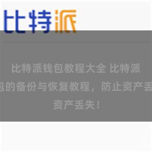 比特派钱包教程大全 比特派钱包的备份与恢复教程，防止资产丢失！