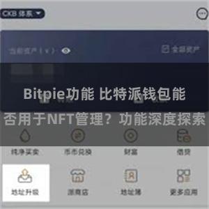 Bitpie功能 比特派钱包能否用于NFT管理？功能深度探索