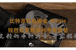 比特派钱包安全 Bitpie钱包还营救多种考据姿首