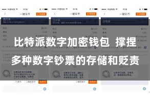 比特派数字加密钱包 撑捏多种数字钞票的存储和贬责