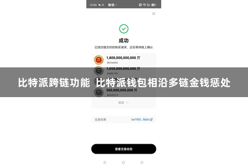 比特派跨链功能  比特派钱包相沿多链金钱惩处