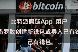 比特派跨链App  用户不错罗致创建新钱包或导入已有钱包
