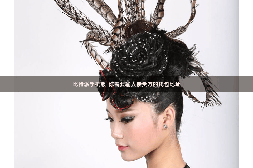 比特派手机版  你需要输入接受方的钱包地址